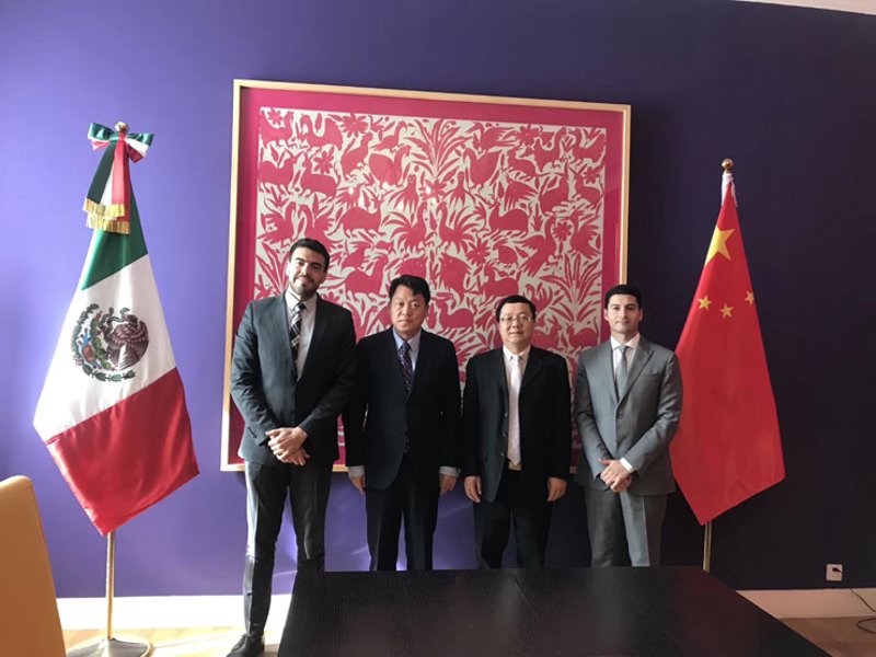 会议策划：让每一次相聚都绽放光彩